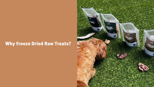 Benefits of Freeze Dried Raw Treats