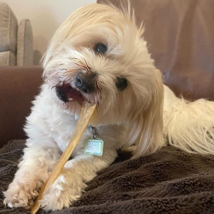 Natural Fresh Breath Dental Chew Dog Treats Pet Snacks