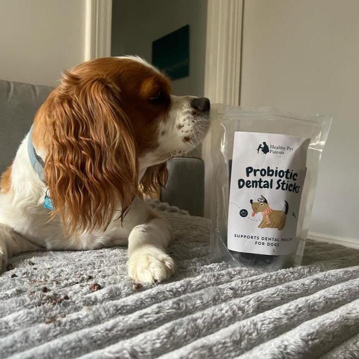 Probiotics Dental Chews For Dogs Dog Food Pet Snacks