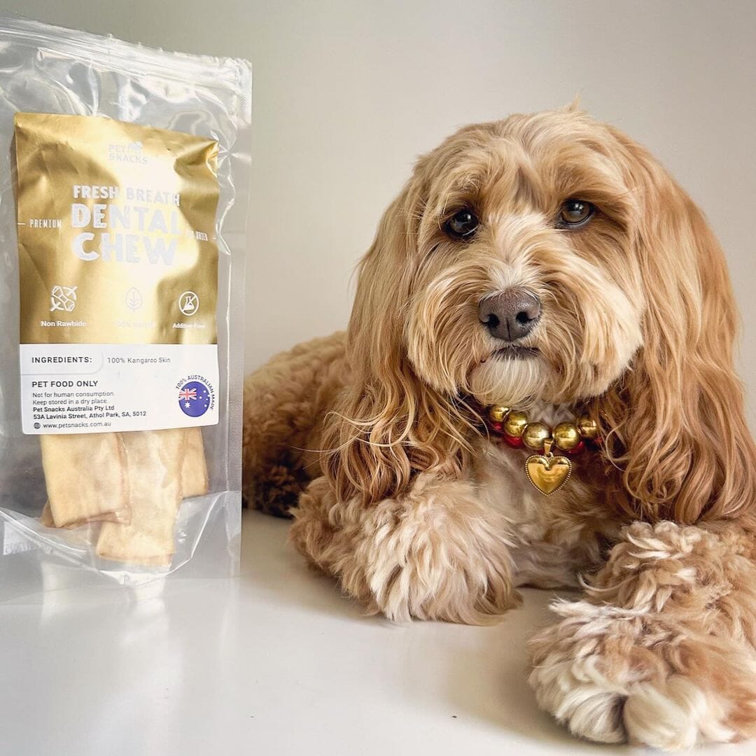 Essential Health & Dental Pack Dog Treats Pet Snacks