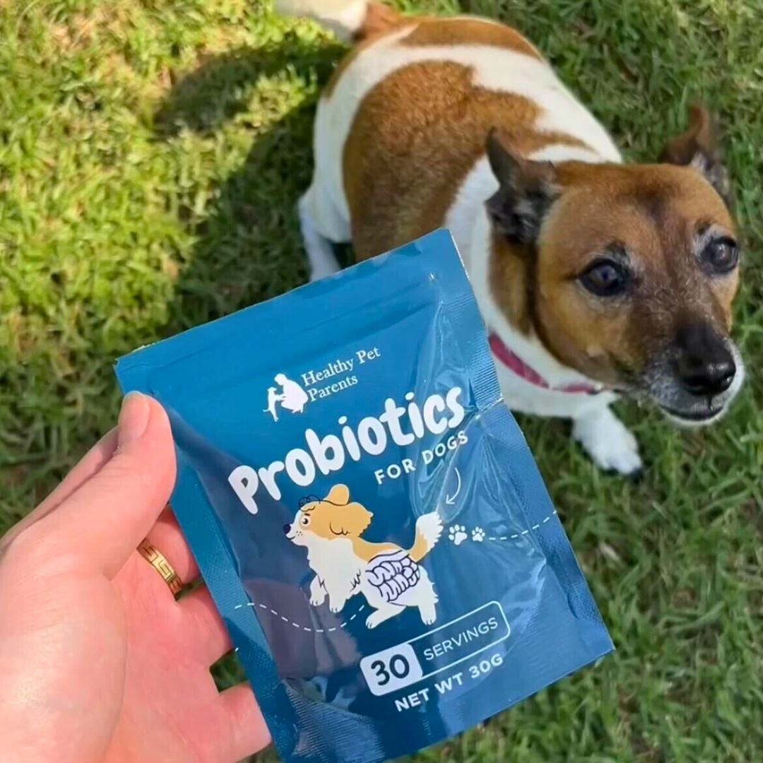 Probiotics For Dogs Dog Food Pet Snacks