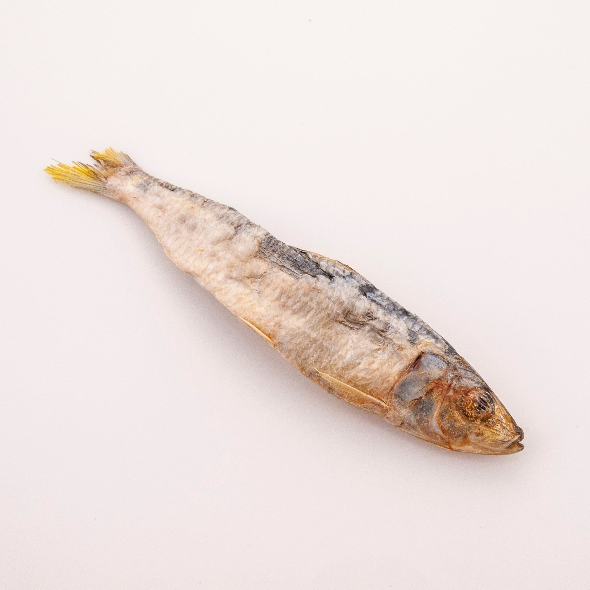 Raw Whole Sardine Treats Dog Treats Pet Snacks