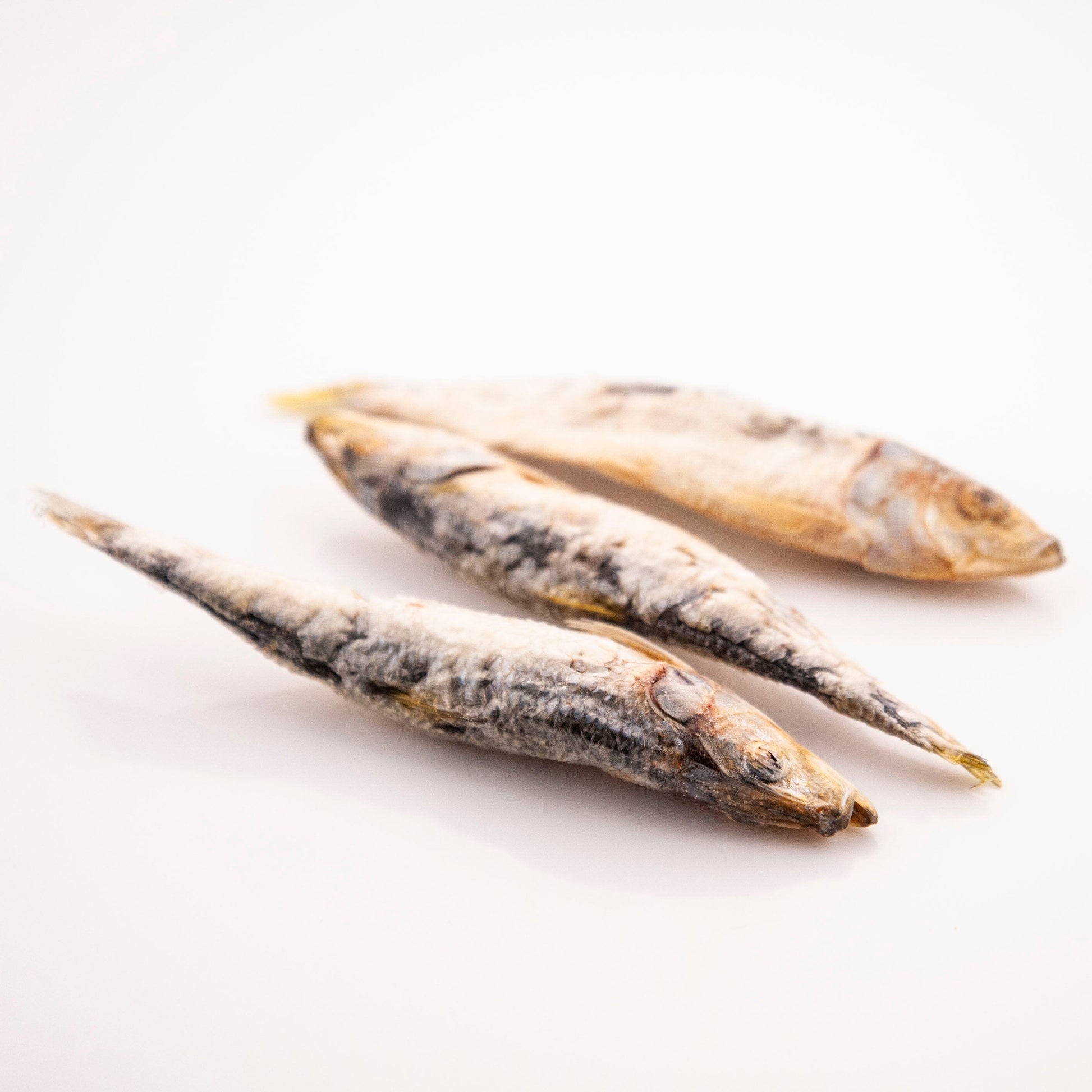 Raw Whole Sardine Treats Dog Treats Pet Snacks