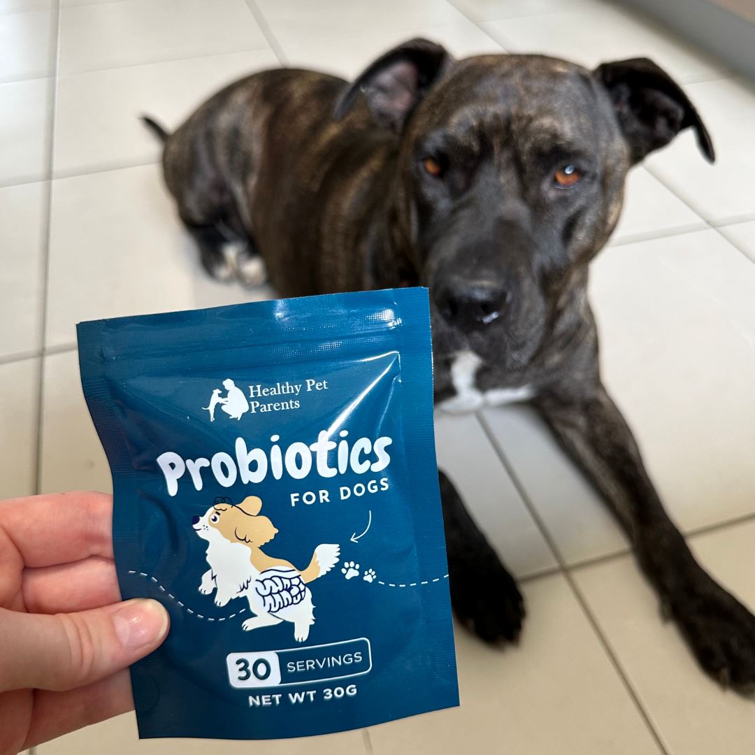 Probiotics For Dogs Dog Food Pet Snacks