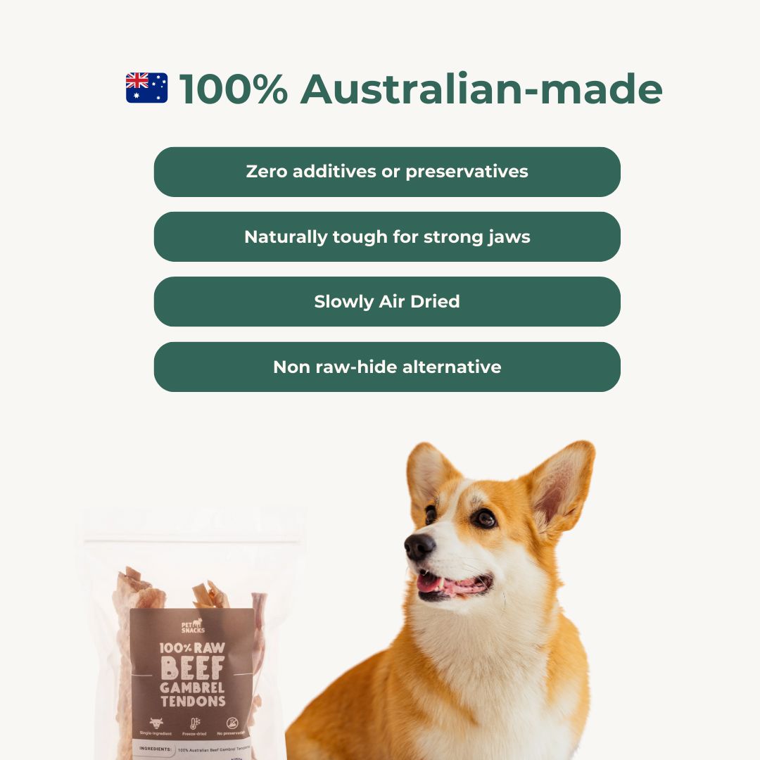 Raw Beef Gambrel Tendon Dental Chew Dog Treats Pet Snacks