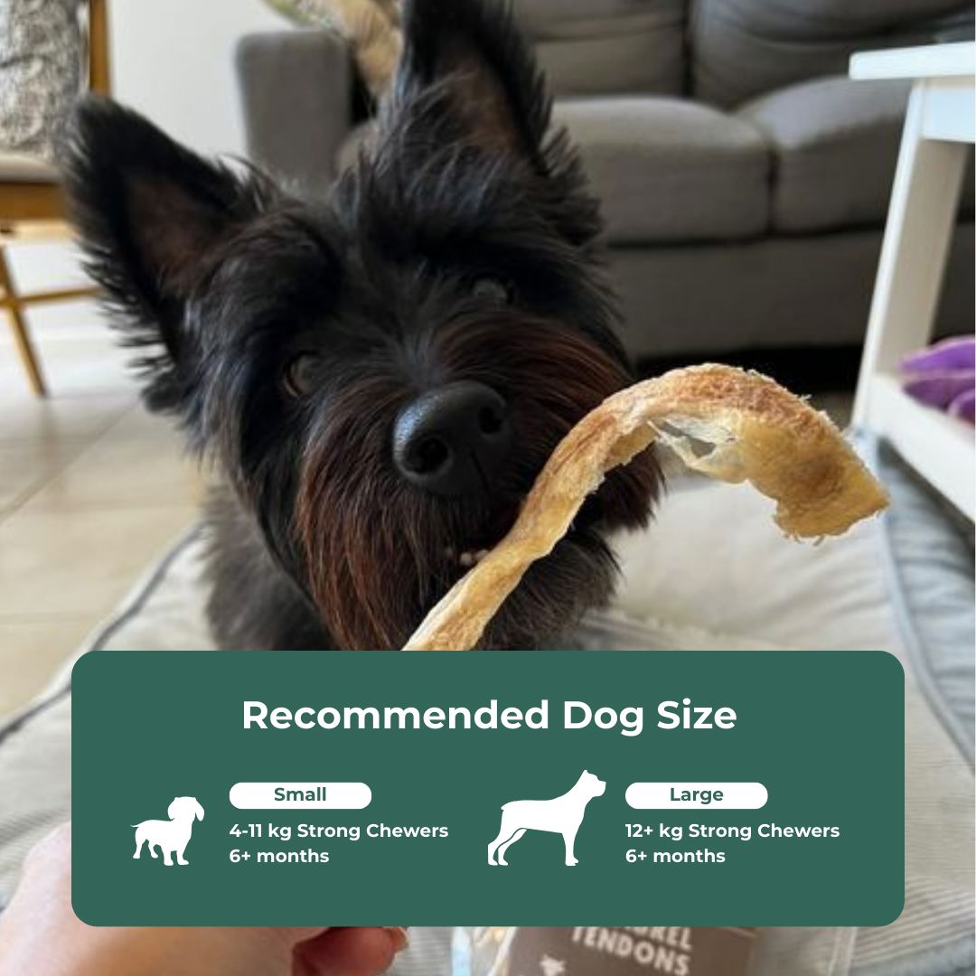 Raw Beef Gambrel Tendon Dental Chew Dog Treats Pet Snacks