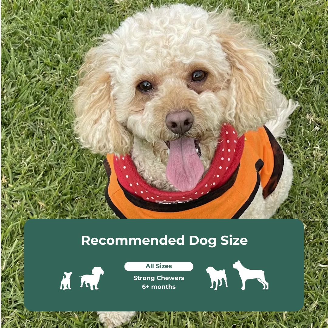 Premium Natural Dental Chews Premium Petsnacks