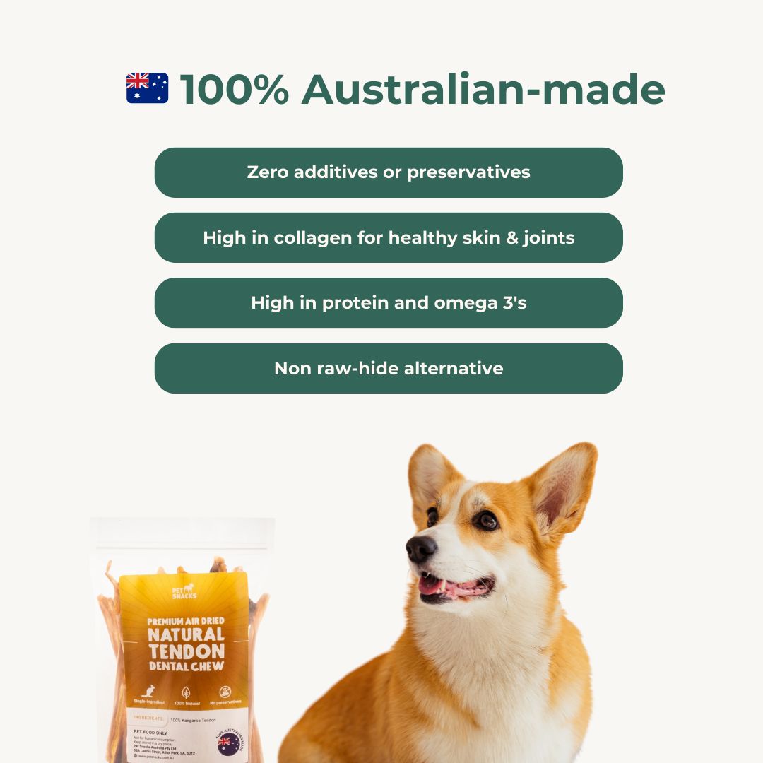 Natural Tendon Dental Chew Premium Pet Snacks