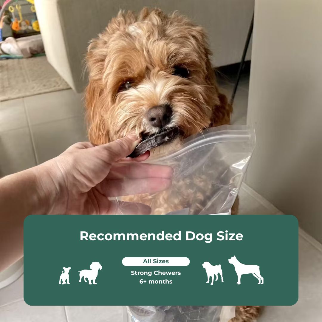 Premium Organ Meat Dog Treats Dog Treats Pet Snacks
