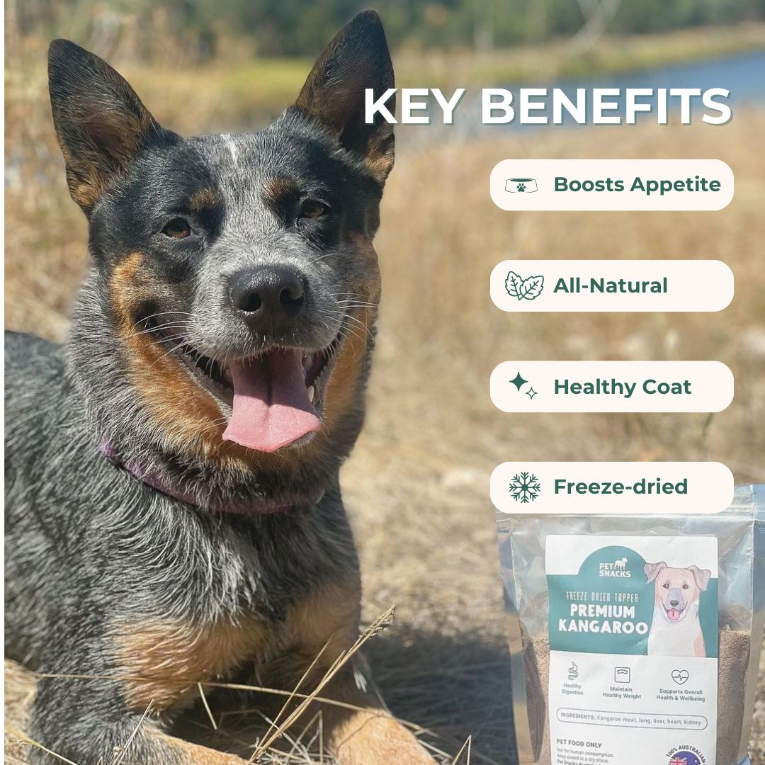 Raw Food Topper - Kangaroo Dog Treats Pet Snacks