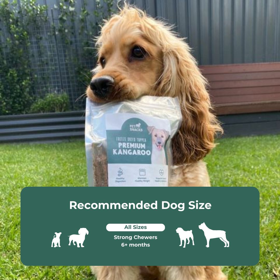 Raw Food Topper - Kangaroo Dog Treats Pet Snacks
