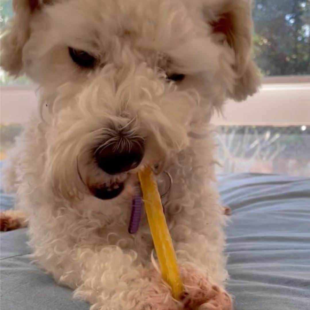 GrassFed Beef Tendon Dental Chew Premium Pet Snacks