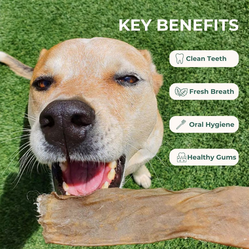 Natural Fresh Breath Dental Chew Dog Treats Pet Snacks 