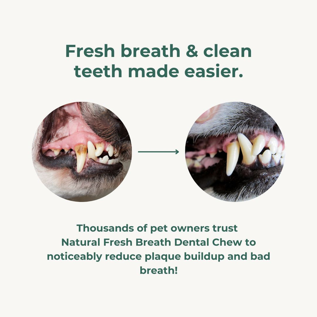 Natural Fresh Breath Dental Chew Dog Treats Pet Snacks 