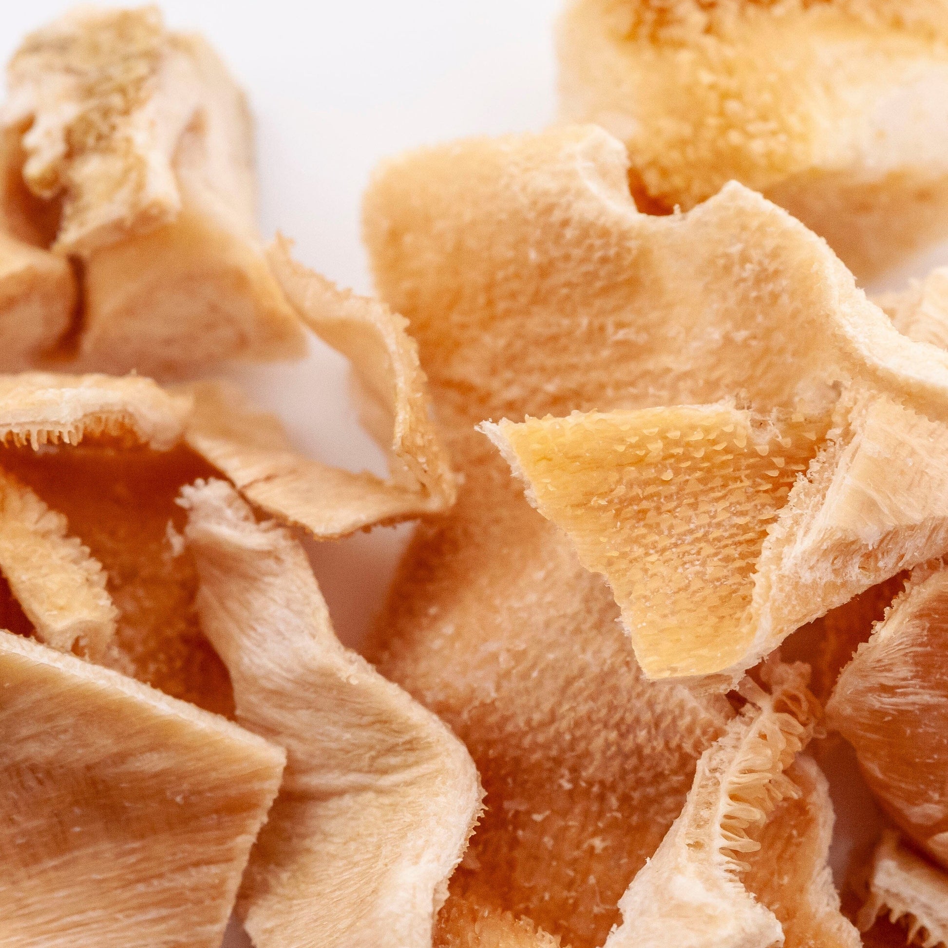 Freeze Dried Raw Lamb Tripe Dog Treats Pet Snacks 