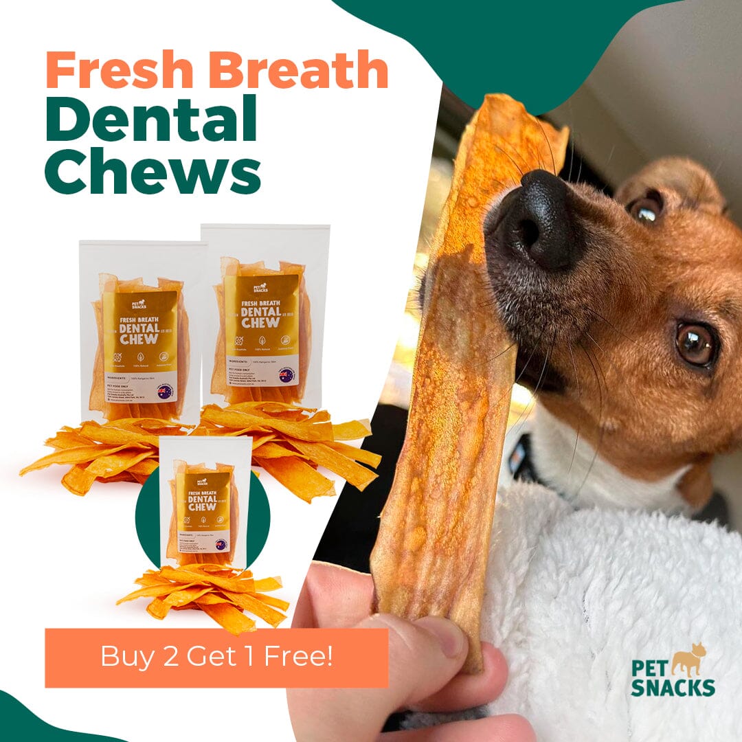 Natural Fresh Breath Dental Chew - 200g Dog Treats Pet Snacks 