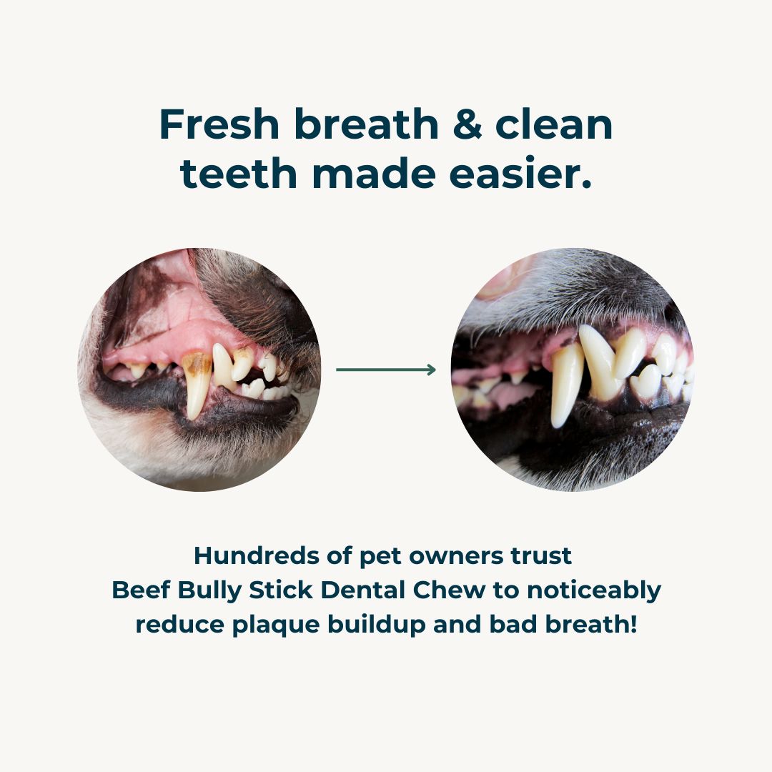 Beef Bully Stick Dental Chew Dog Treats Pet Snacks 