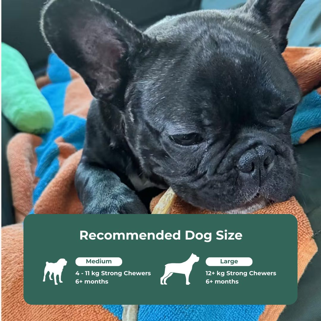 Beef Bully Stick Dental Chew Dog Treats Pet Snacks 