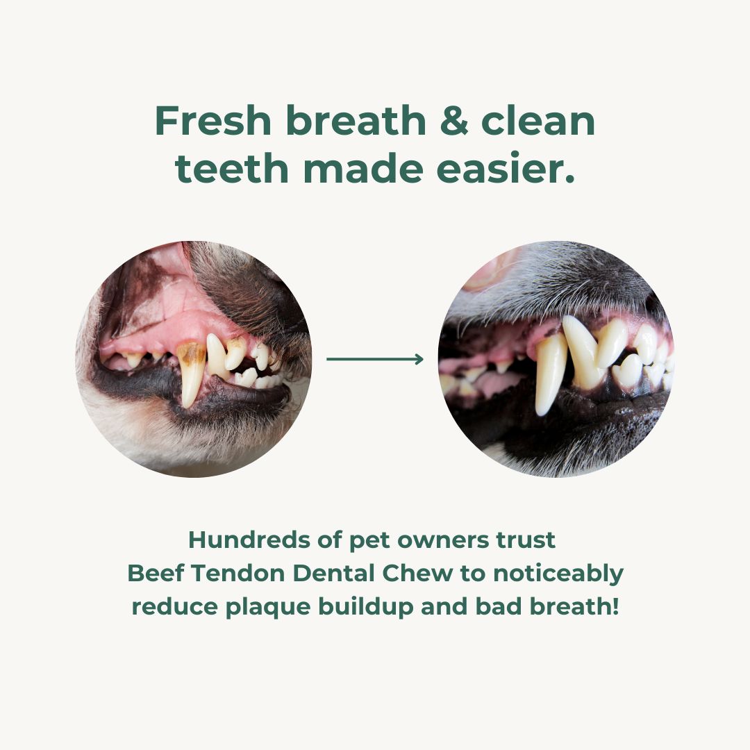 Raw Beef Gambrel Tendon Dental Chew Dog Treats Pet Snacks 