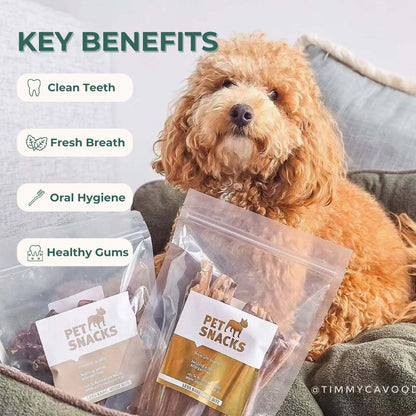 Premium Natural Dental Chews Premium Petsnacks 