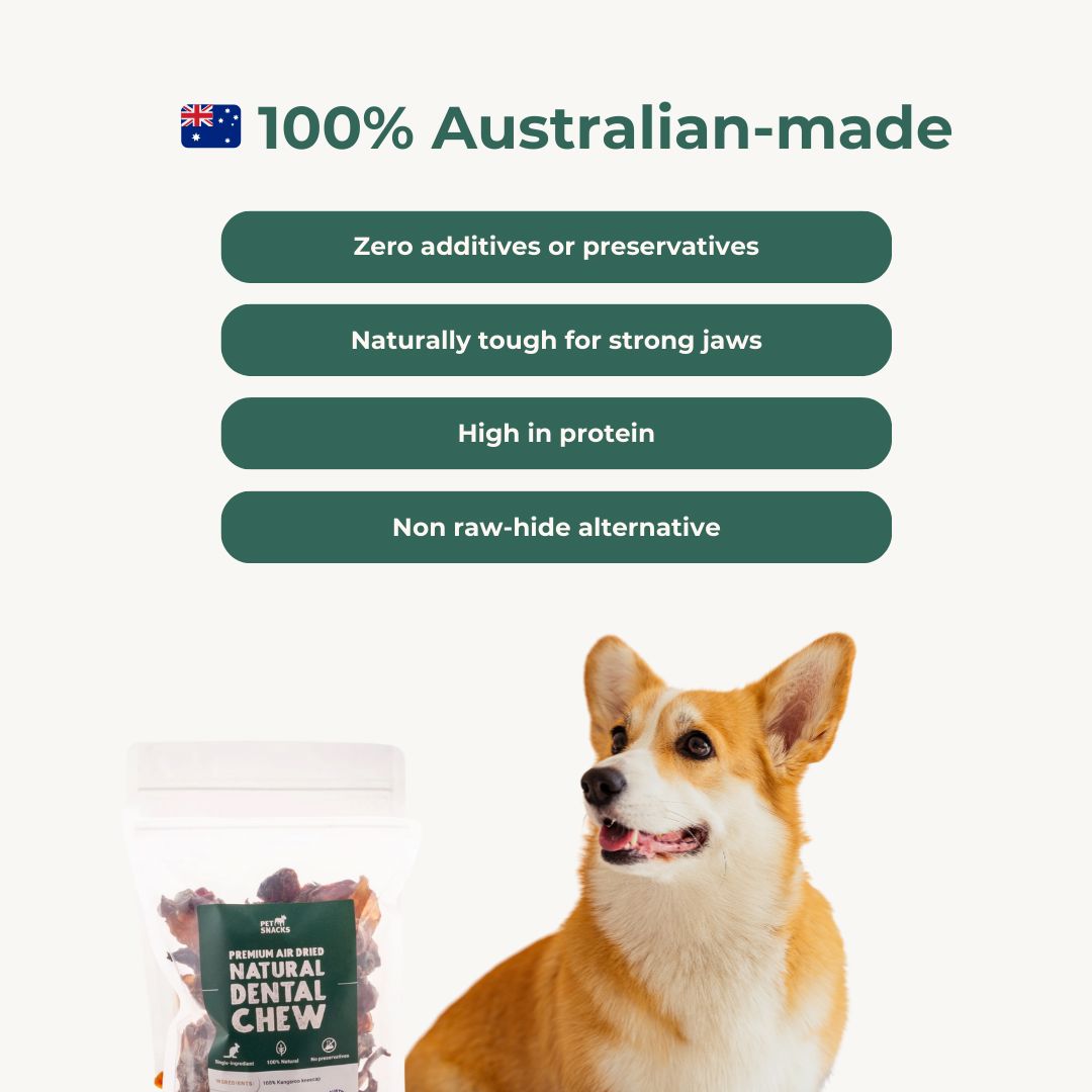 Premium Natural Dental Chews Premium Petsnacks 