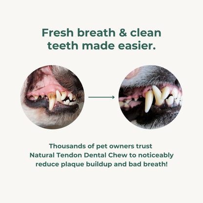 Natural Tendon Dental Chew Premium Pet Snacks 