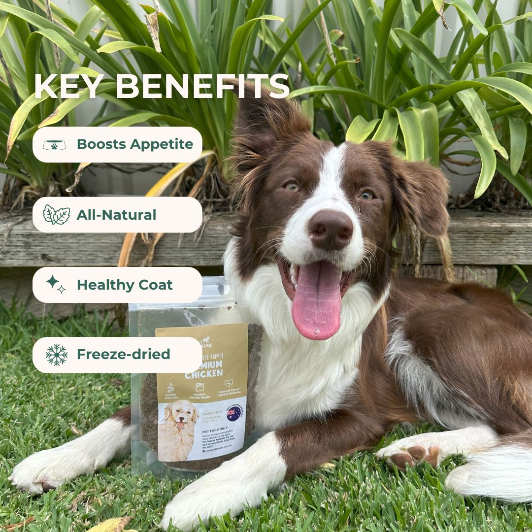 Raw Food Topper - Chicken Dog Food Pet Snacks 