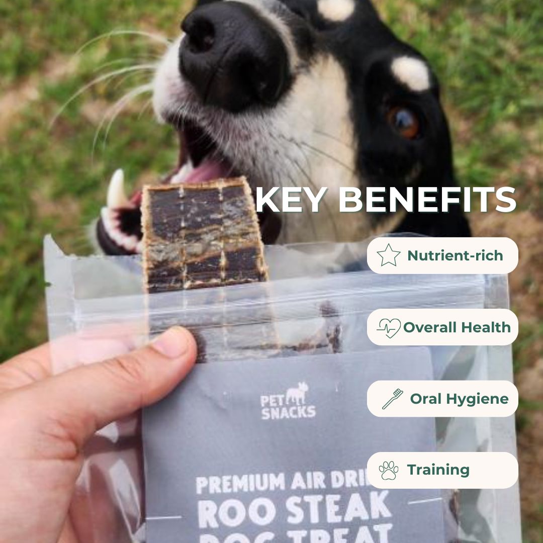 Premium Steak Dog Treat - Small Premium Petsnacks 
