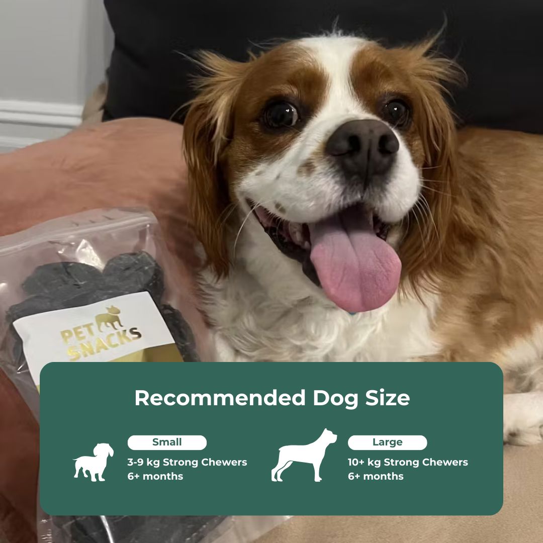 Premium Steak Dog Treat - Small Premium Petsnacks 