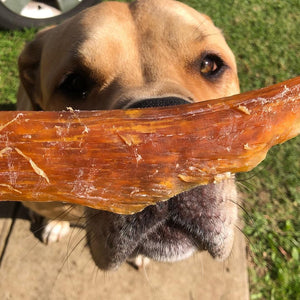 GrassFed Beef Tendon Dental Chew Dog Treats Pet Snacks 