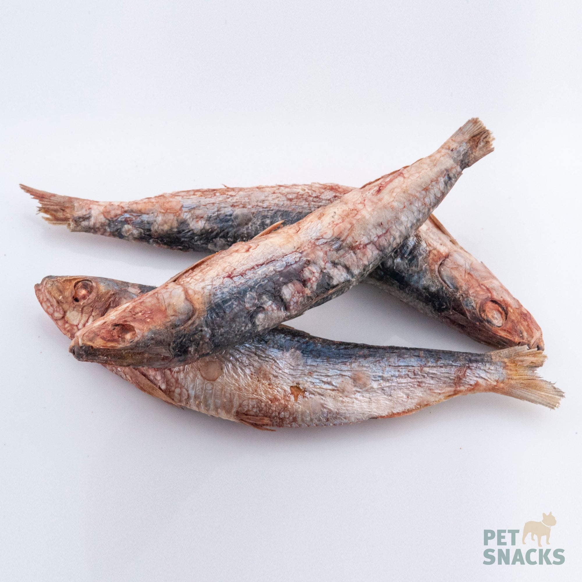 Raw Whole Sardine Treats Pet Snacks 